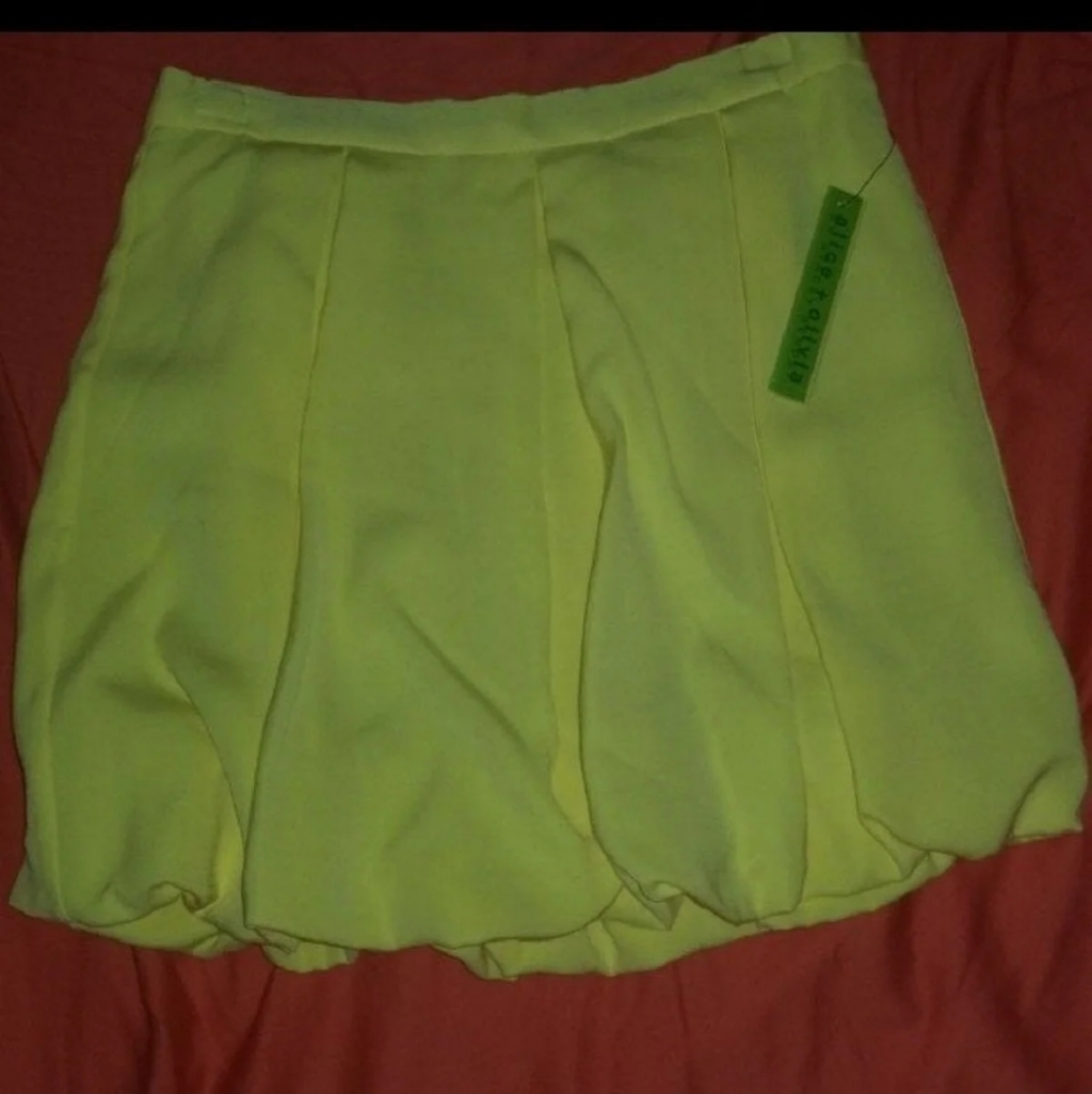 Alice + Olivia Skirt
